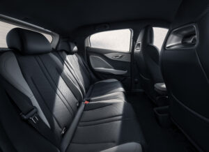 BYD Dolphin Surf