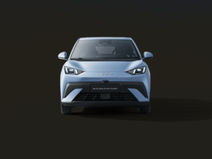 BYD Dolphin Surf