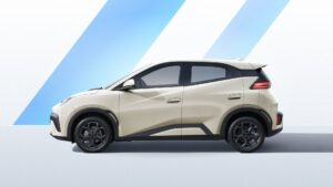 BYD Dolphin Surf